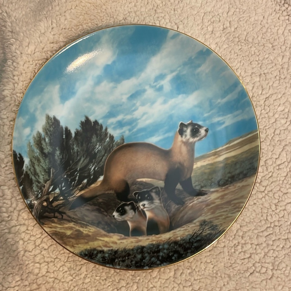 The Black Footed Ferret Will Nelson Vintage Last of Their Kind Endangered Plate